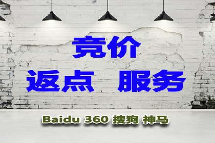百度推广排名案例解读：旅游行业如何运用其扩大影响力